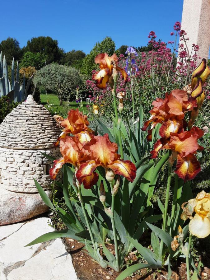 L'Eolyre Bed & Breakfast La Motte-d'Aigues Bagian luar foto